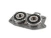 BUGIAD BSP22500 Bearing, manual transmission